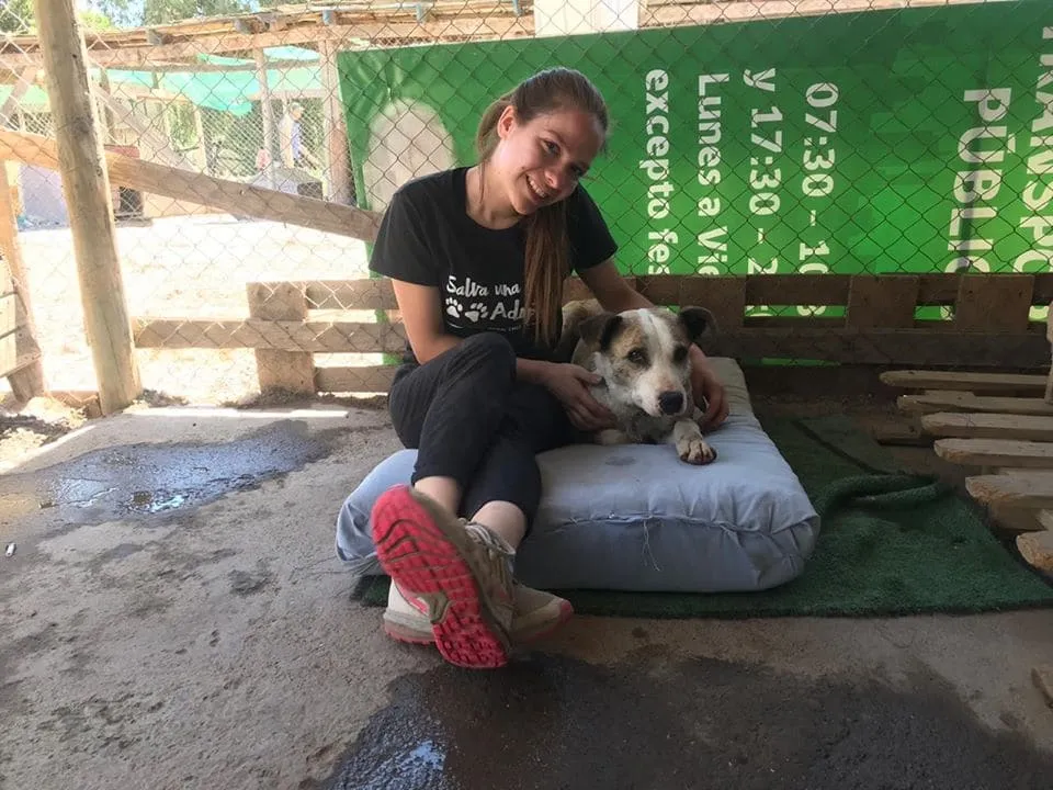 #SANTIAGO ¡Dale un sentido diferente a tu domingo, siendo voluntario en el Refugio Esperanza¡