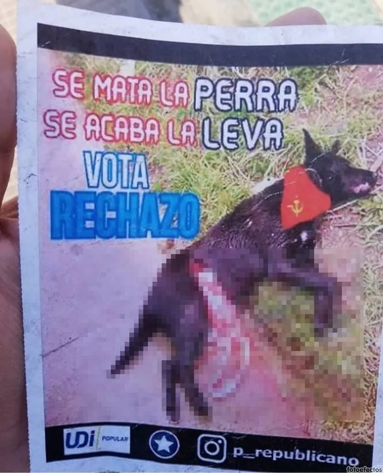 #MIRADANACIONAL Rechazo generó un afiche político protagonizado por un can muerto, que resultó ser una fake news