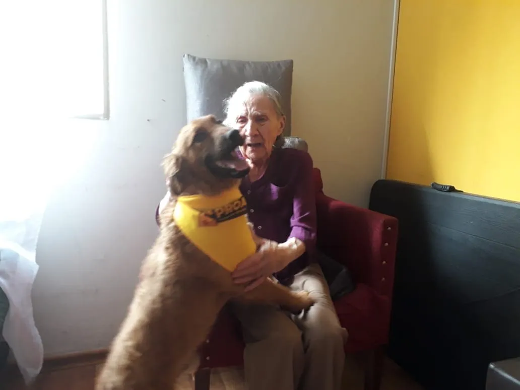 #TENDENCIAS La historia de Volton, un perrito rescatado que llegó a revolucionar la vida de los abuelitos de un hogar