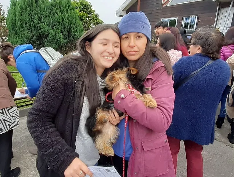 #LOSLAGOS Operativo de mascotas en Mirasol alcanzó a 200 animales de compañía en #PuertoMontt