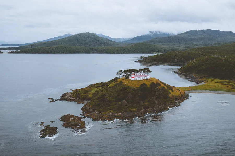 #MAGALLANES Lapas del Océano Austral podrían derribar paradigma científico, afirma reciente estudio