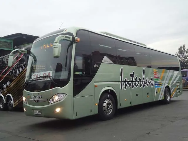 #PUNTOLEGAL Se querellan contra conductor de bus que mató a gatita de dos meses tras arrojar y patear su jaula en Panimávida
