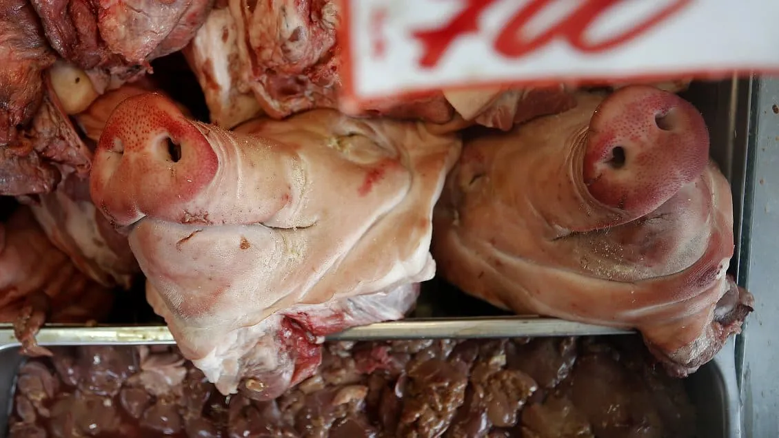 #TENDENCIAS «Deberíamos repensar el uso de los animales como alimento», afirmó el filosofo Peter Singer