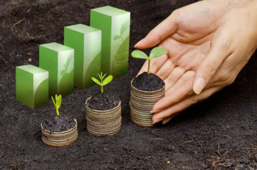 #MIRADANACIONAL Organizaciones entregan a autoridades propuesta de medidas “verdes” para reactivar la economía