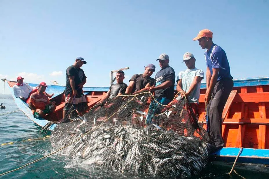 #MUNDO Relanzan campaña «Día Mundial por el Fin de la Pesca», para generar conciencia de los efectos negativos en el ecosistema
