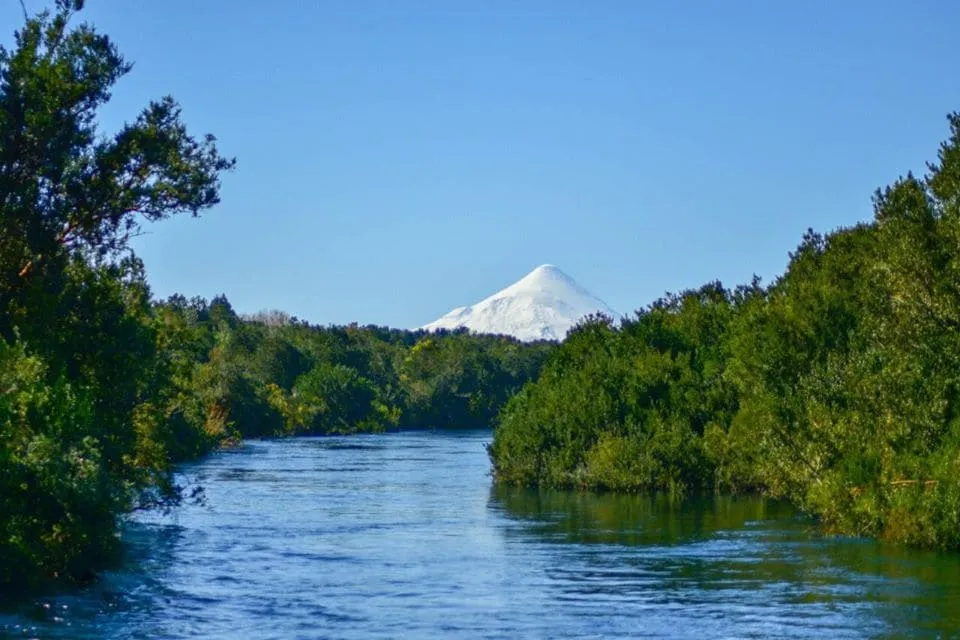 #LOSLAGOS Municipio denuncia a empresas por vertimiento de riles y contaminación en aguas del Río Maullín