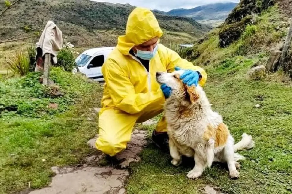 #COLOMBIA Animales reciben atención durante la cuarentena en Bogotá