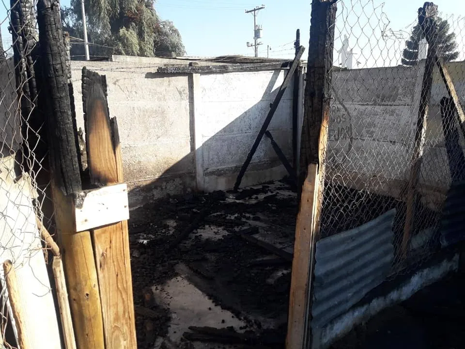 #SANTIAGO Tres perros fallecieron en incendio que afectó a refugio en #Melipilla