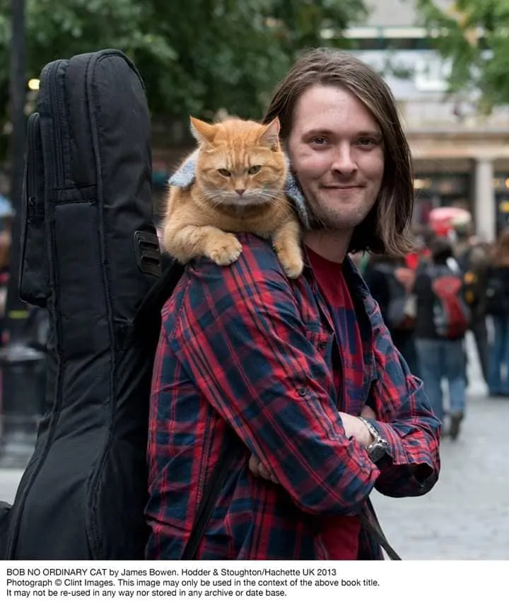#TENDENCIAS El carismático gato Bob que hechizó a Londres por ayudar a un joven drogadicto falleció
