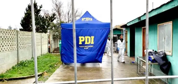 #MAULE Piden aclarar el destino de los casi 40 perros que estaban en el Canil Municipal de Curicó