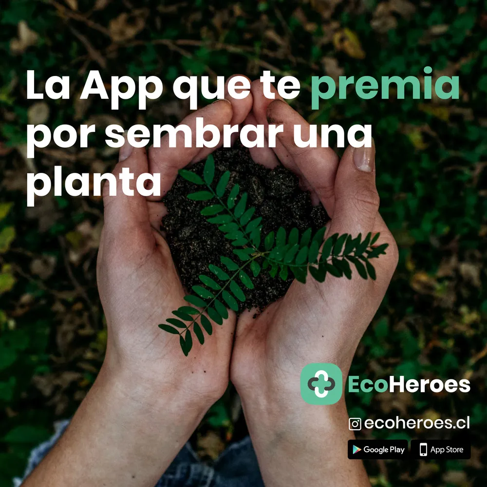 #TENDENCIAS EcoHeroes, la aplicación que entrega recompensas a quienes reciclan y cuidan el medioambiente
