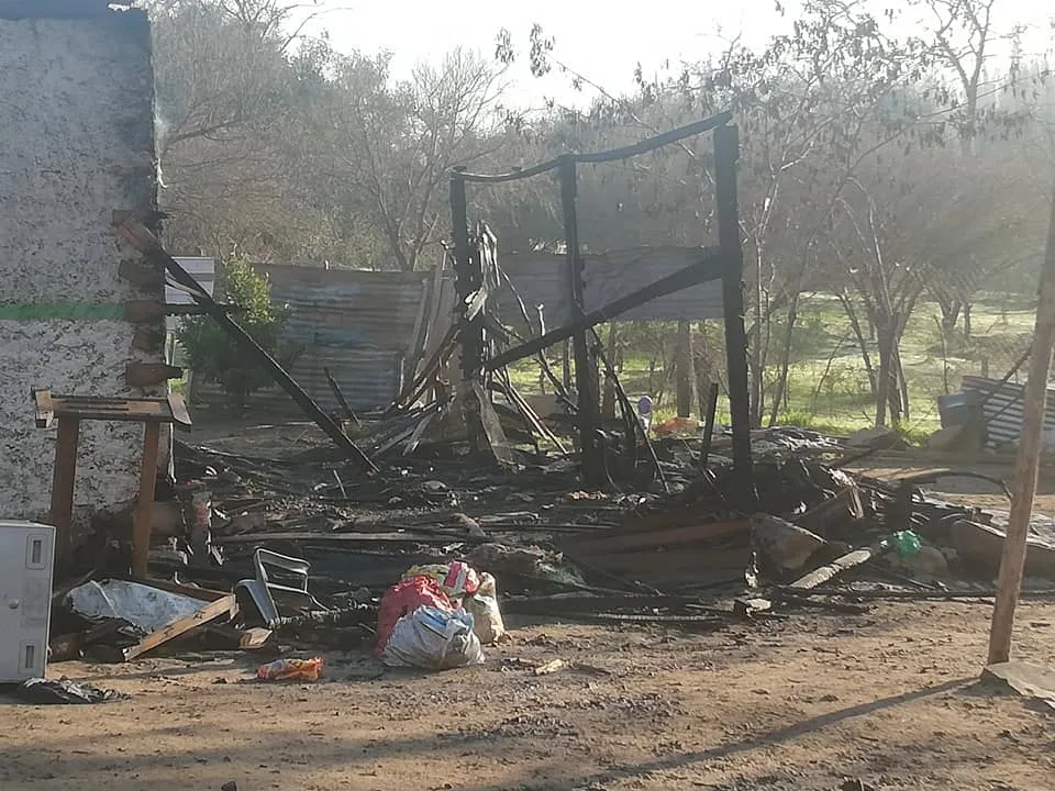 #OHIGGINS Incendio en refugio deja como saldo 50 canes y varios gatos fallecidos: ¡se necesita ayuda¡