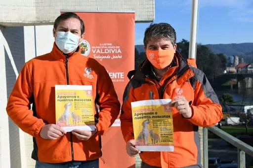 #LOSRIOS Municipio de Valdivia lanzó cruzada de recolección de alimento para animales