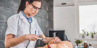 #OPINION La Medicina Veterinaria no se detiene