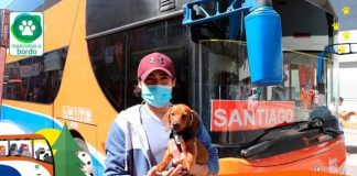#MIRADANACIONAL Con éxito se inició esta semana el programa Mascota a Bordo,impulsado por conocida empresa de buses interurbanos