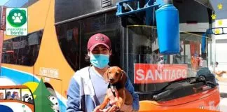 #MIRADANACIONAL Con éxito se inició esta semana el programa Mascota a Bordo,impulsado por conocida empresa de buses interurbanos