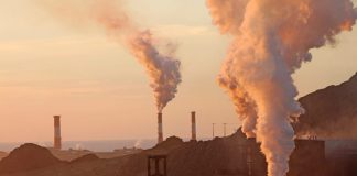 #ATACAMA Oceana estrena nuevo cortometraje documental: “Huasco, el sacrificio de nuestro mar”