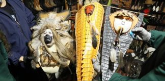 #COLOMBIA Autoridades ambientales decomisaron en Bogotá 400 artículos elaborados con animales salvajes Cerca de 400 artículos decomisados hechos con animales silvestres en Bogotá. Foto: cortesía Secretaría de Ambiente