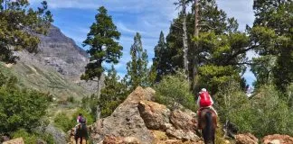#OHIGGINS Anuncian reapertura de la Reserva Nacional Río de los Cipreses
