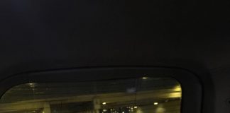 #CAMPAÑAS Piden ayuda para can galgo rescatado en paupérrimas condiciones