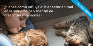 #TENDENCIAS Últimos días para inscribirse en curso que busca fomentar la tenencia responsable, impulsado desde COLMEVET