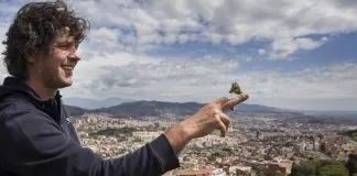 #MUNDO Barcelona documenta su biodiversidad: 532 especies de animales y 1.500 variedad de árboles y plantas