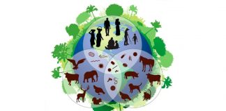 #OPINION ¡Vamos por el paradigma de una salud como enfoque!