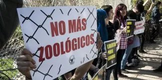#OPINION Zoológicos, zoocosis y abolición