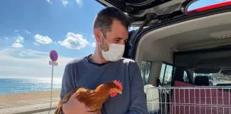 #ESPAÑA Desarticulan una banda que sacrificaba animales para rituales de santería