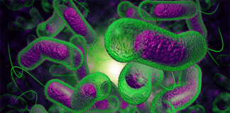 #TENDENCIAS Investigación analiza de manera bibliográfica la bacteria marina en América del Sur y su impacto en la acuicultura