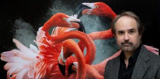 #TENDENCIAS Pedro Jarque, fotógrafo de animales: «Su extinción masiva se está acelerando»