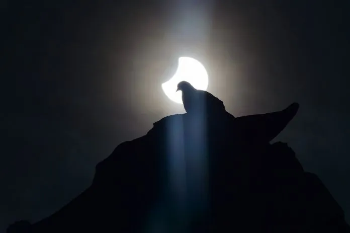 El eclipse impacta a todos los seres vivientes del planeta