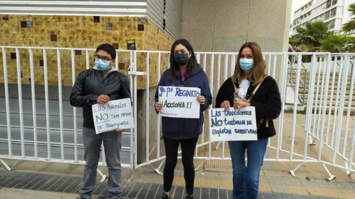 Activistas en las afueras de la Municipalidad de Viña del Mar, exigiendo respuestas concretas al gobierno comunal tras el fin de los coches victoria
