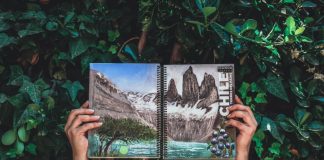 #TENDENCIAS Ekuwün, el cuaderno ecológico que germina al ser sembrado