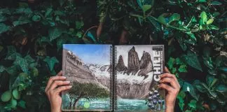 #TENDENCIAS Ekuwün, el cuaderno ecológico que germina al ser sembrado