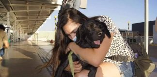 #MIRADANACIONAL Perritos rescatados del abandono encuentran familias en Canadá