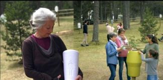 #TENDENCIAS Crean cementerio donde los cuerpos se transforman en árboles