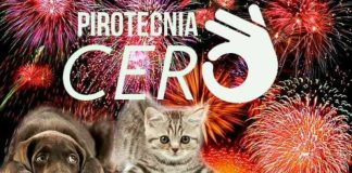 #MIRADANACIONAL Pirotecnia Cero, la propuesta que apuesta a celebrar respetando a los animales y el medio ambiente