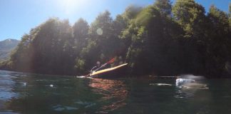 #TENDENCIAS Estudiarán efectos en la fauna acuática a causa del eclipse solar Investigador estudiando la fauna acuática