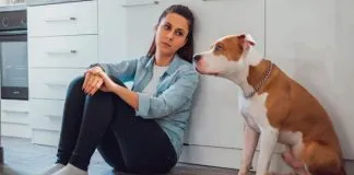 #OPINION Maltrato animal y violencia de género, una reflexión necesaria