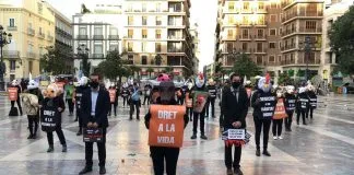 #ESPAÑA Activistas reclaman el reconocimiento de derechos de los animales por su capacidad de sentir Protesta a favor de los derechos de los animales, realizada en Valencia, España
