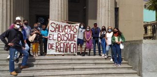 #PUNTOLEGAL Vecinos se sumaron a recurso de protección que busca paralizar destrucción del Bosque de Reñaca