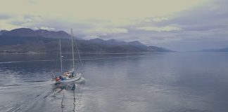 #MUNDO Contracorriente, el documental que busca crear una ley que prohíba la salmonicultura en Argentina