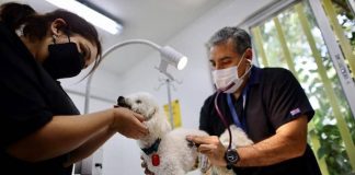 #SANTIAGO Inauguran el primer Centro Veterinario Municipal de Quilicura