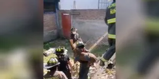 #SANTIAGO Perro debió ser rescatado por Bomberos, tras quedar atrapado entre dos muros por los fuegos artificiales