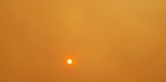 #SALUD Las recomendaciones de Colmevet para cuidar a nuestros animales a raíz del incendio en Quilpué