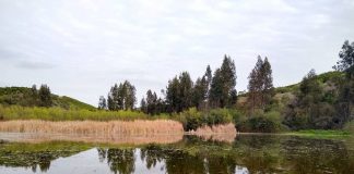 #LOSLAGOS Lanzan inédito plan de conservación de los Humedales con miras a 2030