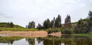 #LOSLAGOS Lanzan inédito plan de conservación de los Humedales con miras a 2030