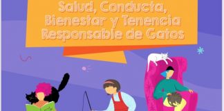 #TENDENCIAS Lanzaron libro centrado en los cuidados, salud y bienestar de los gatos