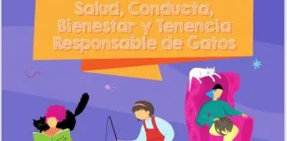 #TENDENCIAS Lanzaron libro centrado en los cuidados, salud y bienestar de los gatos